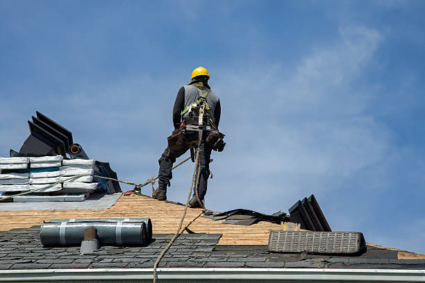 Professional Roof Replacement technician working in Borup, MN